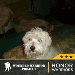 Meet your Posher, Dawn